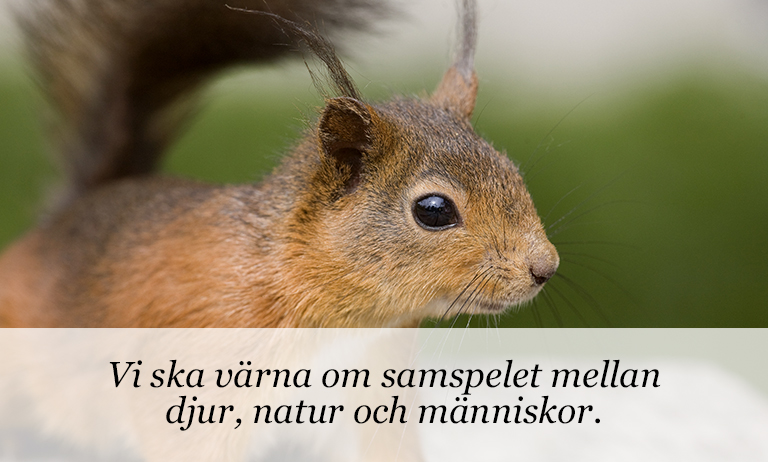 Hållbara Järvastaden
