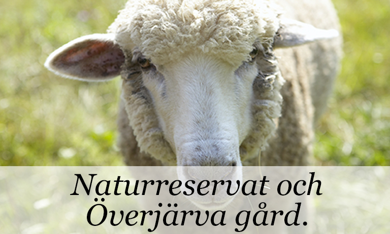 jarvastaden barnen 5